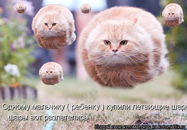 Одному мальчику ( ребенку ) купили летающие шары шары вот разлетелись... Котоматрица: Одному мальчику ( ребенку ) купили летающие шары шары вот разлетелись