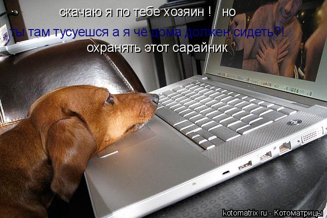скачаю я по тебе хозяин ! ты там тусуешся а я чё дома должен сидеть?! но охранять этот сарайник... Котоматрица: скачаю я по тебе хозяин ! ты там тусуешся а я чё дома должен сидеть?! но охранять этот сарайник