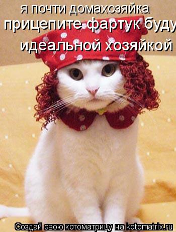 я почти домахозяйка прицепите фартук буду идеальной идеальной хозяйкой... Котоматрица: я почти домахозяйка прицепите фартук буду идеальной идеальной хозяйкой