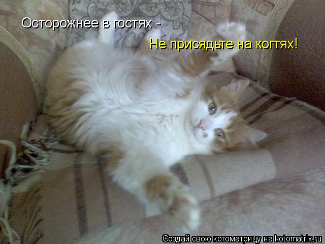 Осторожнее в гостях - Не присядьте на когтях!... Котоматрица: Осторожнее в гостях - Не присядьте на когтях!