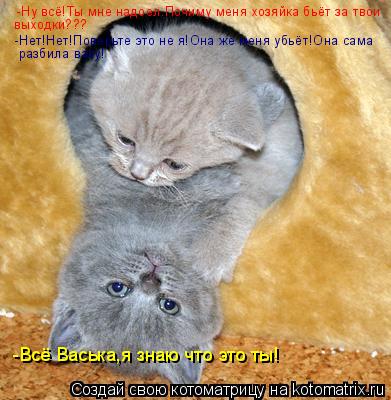 -Ну всё!Ты мне надоел.Почиму меня хозяйка бьёт за твои выходки??? -Нет!Нет!Поверьте это не я!Она же м... Котоматрица: -Ну всё!Ты мне надоел.Почиму меня хозяйка бьёт за твои выходки??? -Нет!Нет!Поверьте это не я!Она же меня убьёт!Она сама разбила вазу! -Всё Васьк