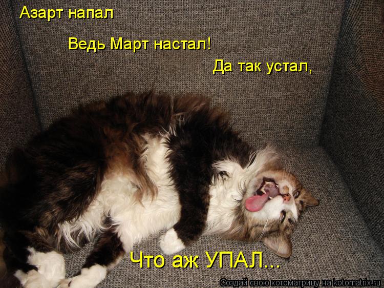 Азарт напал Ведь Март настал! Да так устал, Что аж УПАЛ...... Котоматрица: Азарт напал Ведь Март настал! Да так устал, Что аж УПАЛ...