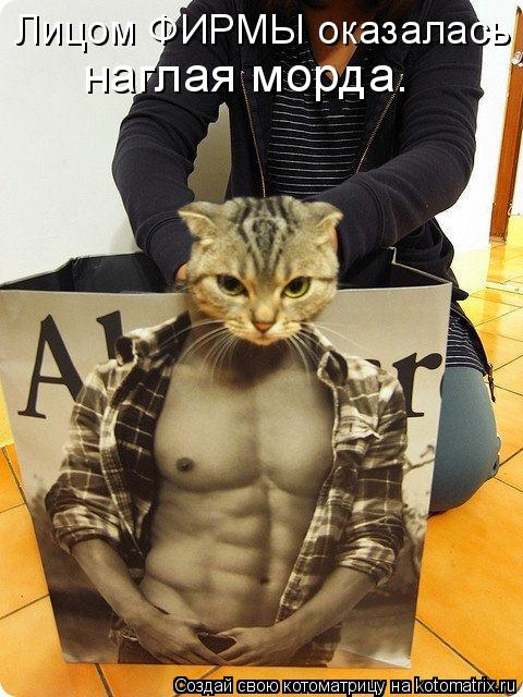 Лицом ФИРМЫ оказалась наглая морда.... Котоматрица: Лицом ФИРМЫ оказалась наглая морда.