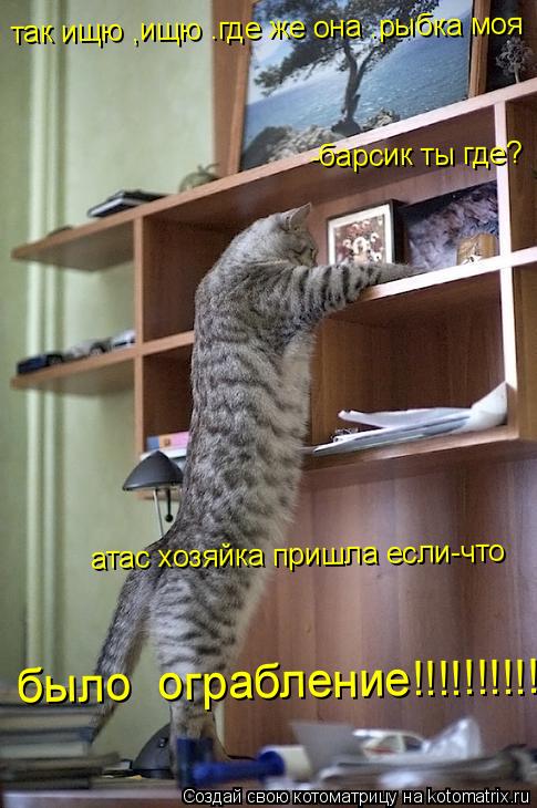 было ограбление!!!!!!!!!!!!!!!!! так ищю ,ищю .где же она .рыбка моя -барсик ты где? атас хозяйка пр... Котоматрица: было ограбление!!!!!!!!!!!!!!!!! так ищю ,ищю .где же она .рыбка моя -барсик ты где? атас хозяйка пришла если-что