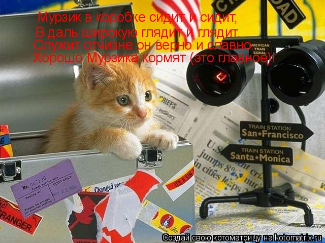 Мурзик в коробке сидит и сидит, В даль широкую глядит и глядит. Служит отчизне он верно и славно. Хо... Котоматрица: Мурзик в коробке сидит и сидит, В даль широкую глядит и глядит. Служит отчизне он верно и славно. Хорошо Мурзика кормят (это главное)!