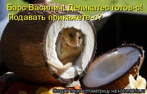 Барс Василич! Деликатес готов-с! Подавать прикажете-с?... Котоматрица: Барс Василич! Деликатес готов-с! Подавать прикажете-с?