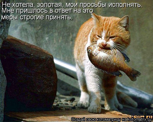 Не хотела, золотая, мои просьбы исполнять. Мне пришлось в ответ на это меры строгие принять.... Котоматрица: Не хотела, золотая, мои просьбы исполнять. Мне пришлось в ответ на это меры строгие принять.