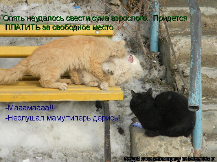Опять неудалось свести сума взрослого...Придётся ПЛАТИТЬ за свободное место... -Мааамаааа!!! -Неслуша... Котоматрица: Опять неудалось свести сума взрослого...Придётся ПЛАТИТЬ за свободное место... -Мааамаааа!!! -Неслушал маму,типерь дерись!