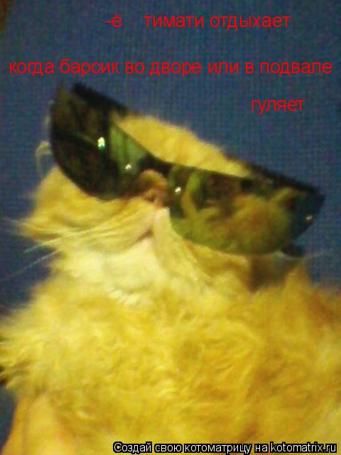 -ё тимати отдыхает когда барсик во дворе или в подвале гуляет... Котоматрица: -ё тимати отдыхает когда барсик во дворе или в подвале гуляет