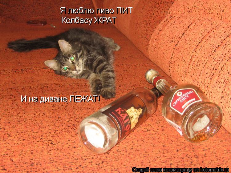 Я люблю пиво ПИТ Колбасу ЖРАТ И на диване ЛЕЖАТ!... Котоматрица: Я люблю пиво ПИТ Колбасу ЖРАТ И на диване ЛЕЖАТ!