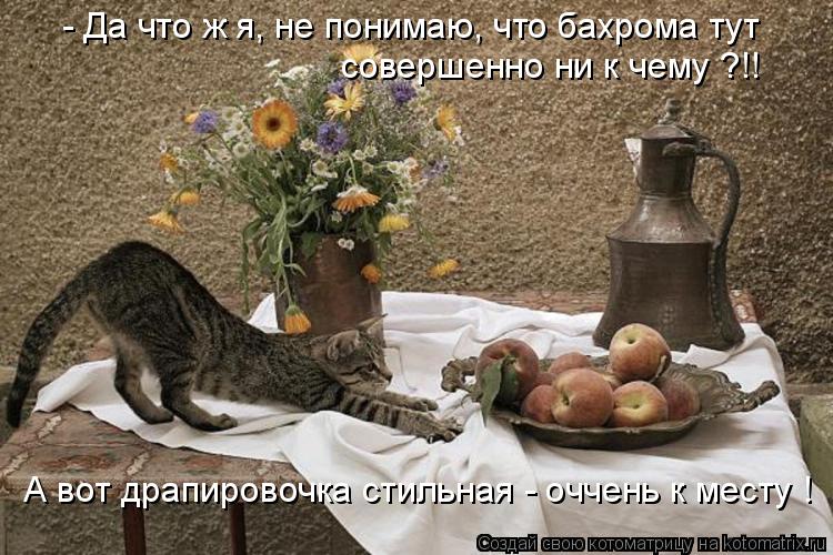 Котоматрица: - Да что ж я, не понимаю, что бахрома тут совершенно ни к чему ?!! А вот драпировочка стильная - оччень к месту !
