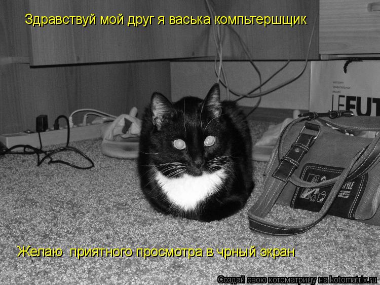 Здравствуй мой друг я васька компьтершщик Желаю приятного просмотра в чрный экран... Котоматрица: Здравствуй мой друг я васька компьтершщик Желаю приятного просмотра в чрный экран