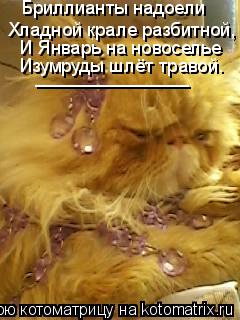 Бриллианты надоели Хладной крале разбитной, И Январь на новоселье Изумруды шлёт травой. _____________... Котоматрица: Бриллианты надоели Хладной крале разбитной, И Январь на новоселье Изумруды шлёт травой. _______________