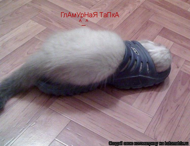 ГлАмУрНаЯ ТаПкА ^_^... Котоматрица: ГлАмУрНаЯ ТаПкА ^_^