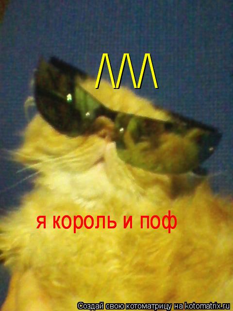 /\/\/\ я король и поф я король и поф /\/\/\... Котоматрица: /\/\/\ я король и поф я король и поф /\/\/\