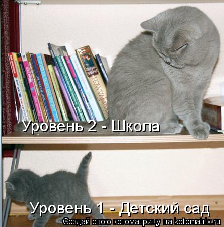 Уровень 1 - Детский сад Уровень 2 - Школа... Котоматрица: Уровень 1 - Детский сад Уровень 2 - Школа