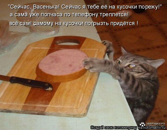 "Сейчас, Васенька! Сейчас я тебе её на кусочки порежу!" а сама уже полчаса по телефону треплется! всё... Котоматрица: "Сейчас, Васенька! Сейчас я тебе её на кусочки порежу!" а сама уже полчаса по телефону треплется! всё сам! самому на кусочки погрызть придётся