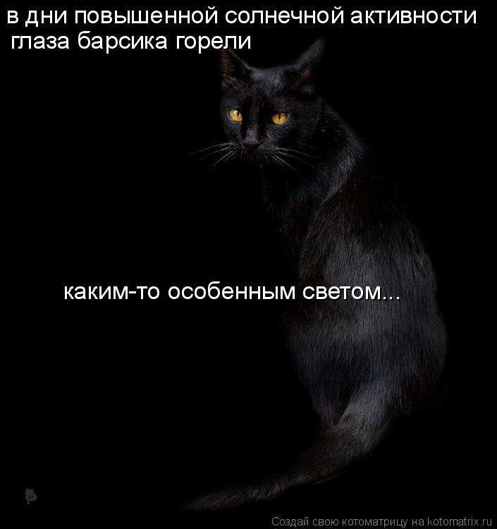 в дни повышенной солнечной активности глаза барсика горели каким-то особенным светом...... Котоматрица: в дни повышенной солнечной активности глаза барсика горели каким-то особенным светом...