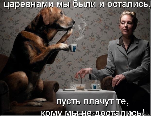 царевнами мы были и остались, пусть плачут те, кому мы не достались!... Котоматрица: царевнами мы были и остались, пусть плачут те, кому мы не достались!