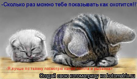 -Сколько раз можно тебе показывать как охотится!!? -Я лучше по телеку посмотрю канал <охота и рыбалка... Котоматрица: -Сколько раз можно тебе показывать как охотится!!? -Я лучше по телеку посмотрю канал <охота и рыбалка>