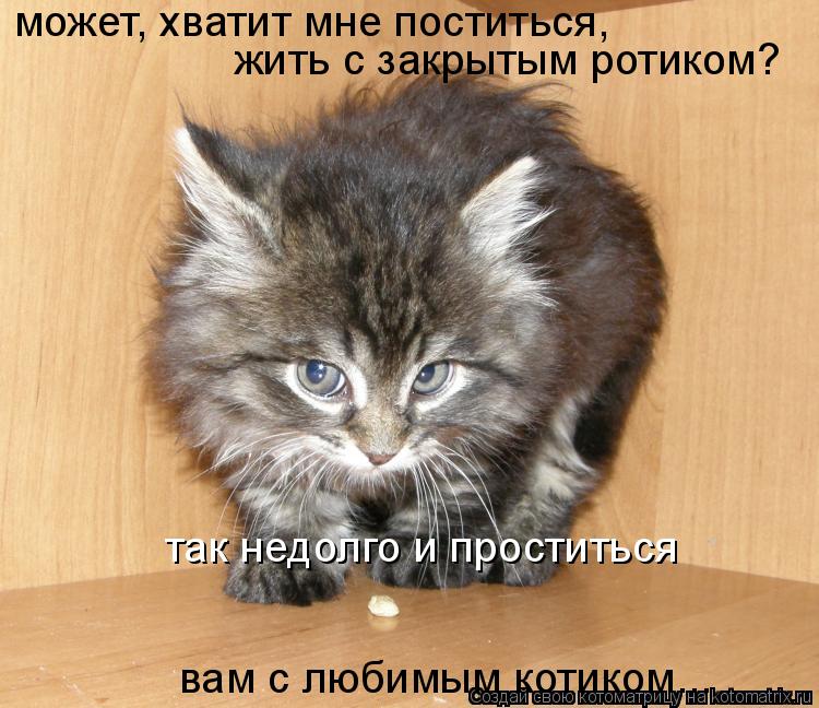 может, хватит мне поститься, жить с закрытым ротиком? так недолго и проститься вам с любимым котиком... Котоматрица: может, хватит мне поститься, жить с закрытым ротиком? так недолго и проститься вам с любимым котиком...