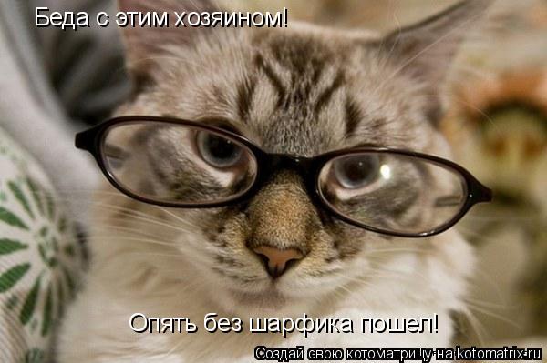 Опять без шарфика пошел! Беда с этим хозяином!... Котоматрица: Опять без шарфика пошел! Беда с этим хозяином!