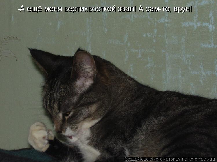 -А ещё меня вертихвосткой звал! А сам-то, врун!... Котоматрица: -А ещё меня вертихвосткой звал! А сам-то, врун!