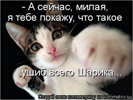 - А сейчас, милая, я тебе покажу, что такое ушиб всего Шарика...... Котоматрица: - А сейчас, милая, я тебе покажу, что такое ушиб всего Шарика...