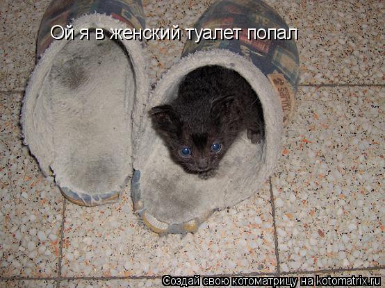 Ой я в женский туалет попал... Котоматрица: Ой я в женский туалет попал