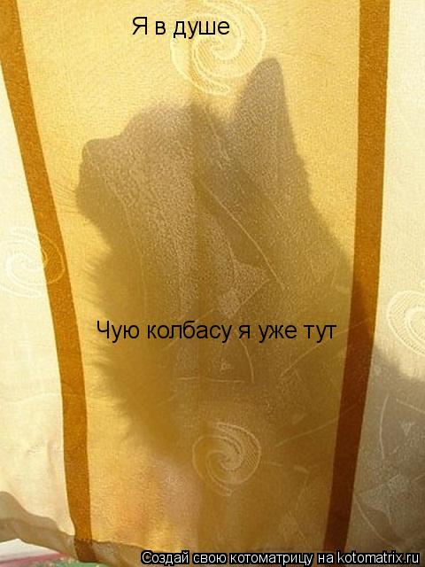 Я в душе Чую колбасу я уже тут... Котоматрица: Я в душе Чую колбасу я уже тут