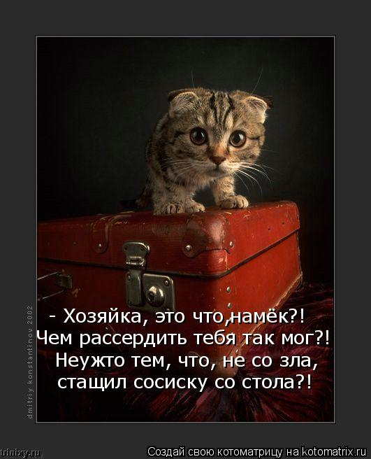 - Хозяйка, это что,намёк?! Чем рассердить тебя так мог?! Неужто тем, что, не со зла, стащил сосиску с... Котоматрица: - Хозяйка, это что,намёк?! Чем рассердить тебя так мог?! Неужто тем, что, не со зла, стащил сосиску со стола?!