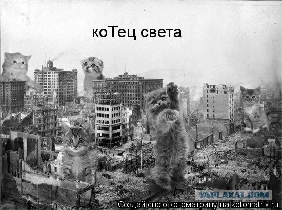 коТец света... Котоматрица: коТец света