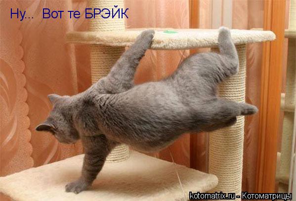 Ну... Вот те БРЭЙК... Котоматрица: Ну... Вот те БРЭЙК