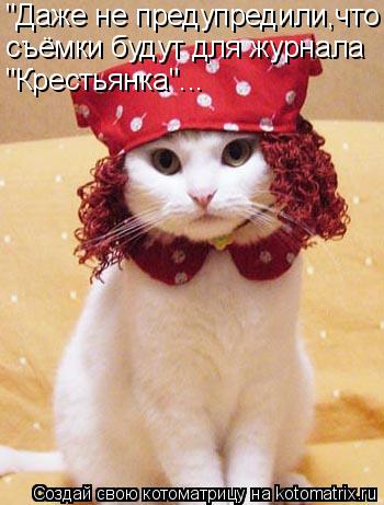 "Даже не предупредили,что съёмки будут для журнала "Крестьянка"...... Котоматрица: "Даже не предупредили,что съёмки будут для журнала "Крестьянка"...