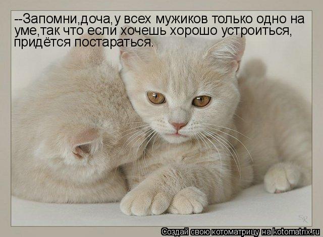 --Запомни,доча,у всех мужиков только одно на уме,так что если хочешь хорошо устроиться, придётся пост... Котоматрица: --Запомни,доча,у всех мужиков только одно на уме,так что если хочешь хорошо устроиться, придётся постараться.