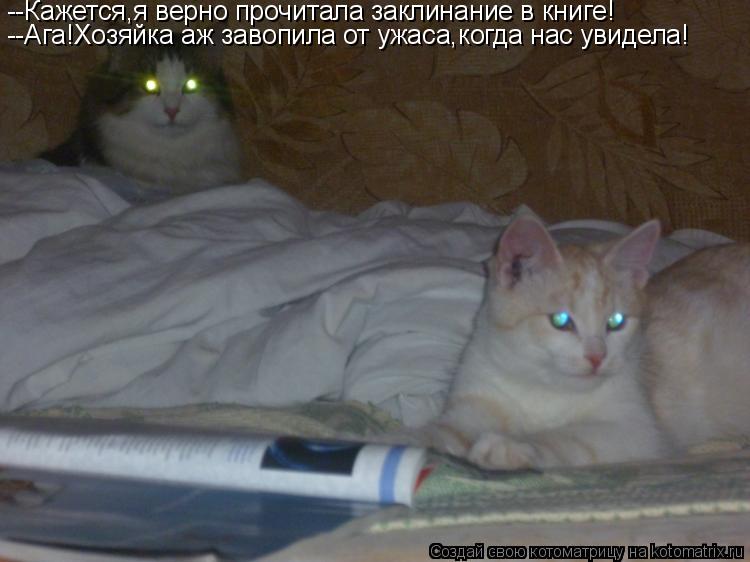 --Кажется,я верно прочитала заклинание в книге! --Ага!Хозяйка аж завопила от ужаса,когда нас увидела!... Котоматрица: --Кажется,я верно прочитала заклинание в книге! --Ага!Хозяйка аж завопила от ужаса,когда нас увидела!