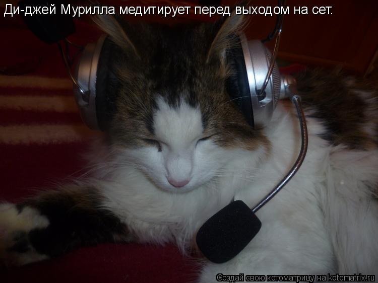 Ди-джей Мурилла медитирует перед выходом на сет.... Котоматрица: Ди-джей Мурилла медитирует перед выходом на сет.