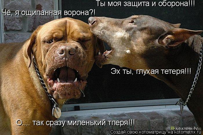 Ты моя защита и оборона!!! Чё, я ощипанная ворона?! Эх ты, глухая тетеря!!! О.... так сразу миленький... Котоматрица: Ты моя защита и оборона!!! Чё, я ощипанная ворона?! Эх ты, глухая тетеря!!! О.... так сразу миленький тперя!!!