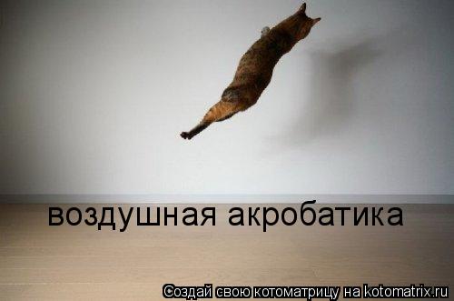 воздушная акробатика... Котоматрица: воздушная акробатика