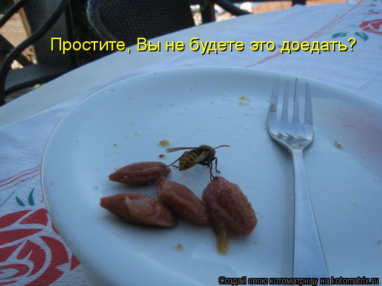Простите, Вы не будете это доедать?... Котоматрица: Простите, Вы не будете это доедать?