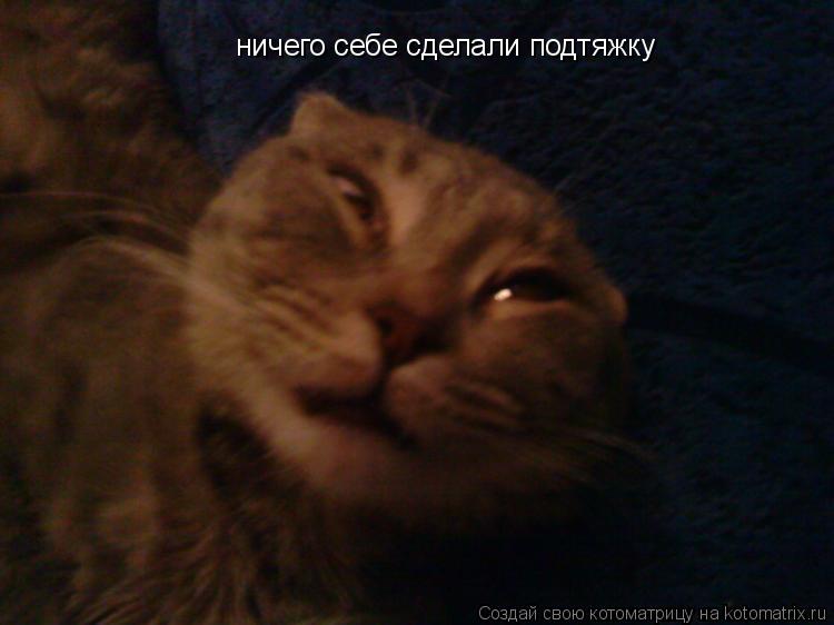 ничего себе сделали подтяжку... Котоматрица: ничего себе сделали подтяжку