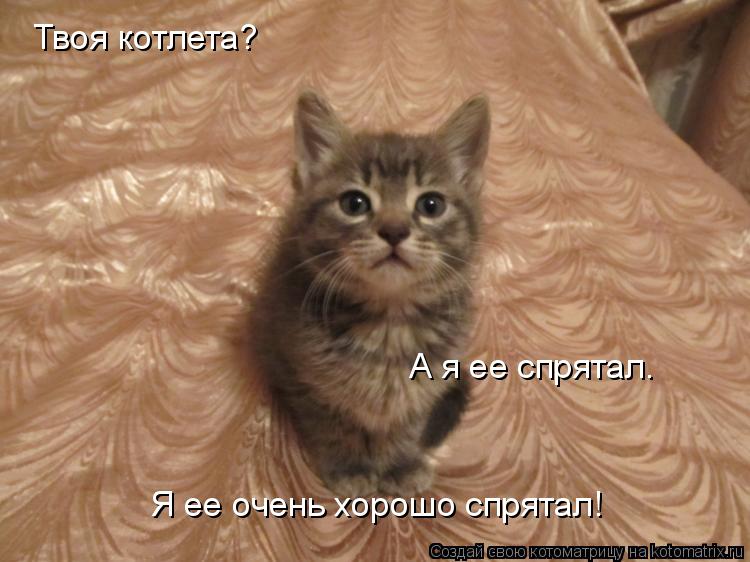 Твоя котлета? А я ее спрятал. Я ее очень хорошо спрятал!... Котоматрица: Твоя котлета? А я ее спрятал. Я ее очень хорошо спрятал!