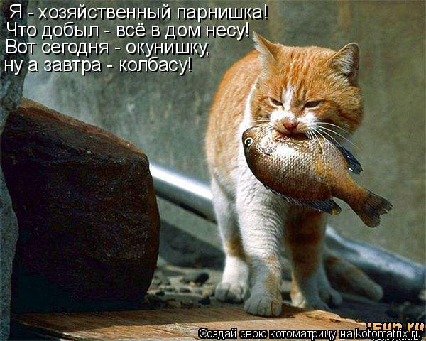 Я - хозяйственный парнишка! Что добыл - всё в дом несу! Вот сегодня - окунишку, ну а завтра - колбасу... Котоматрица: Я - хозяйственный парнишка! Что добыл - всё в дом несу! Вот сегодня - окунишку, ну а завтра - колбасу!