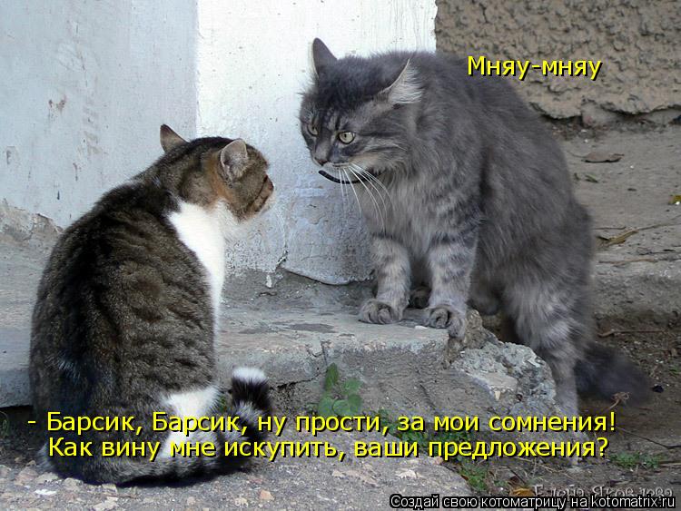 - Барсик, Барсик, ну прости, за мои сомнения! Как вину мне искупить, ваши предложения? Мняу-мняу... Котоматрица: - Барсик, Барсик, ну прости, за мои сомнения! Как вину мне искупить, ваши предложения? Мняу-мняу
