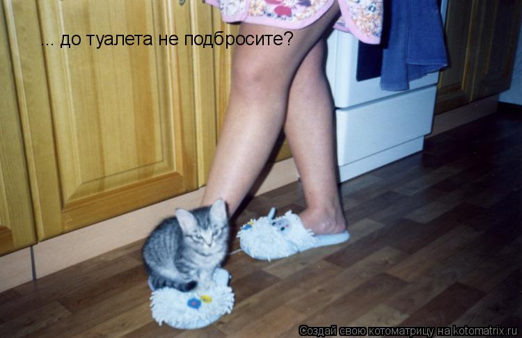 ... до туалета не подбросите?... Котоматрица: ... до туалета не подбросите?