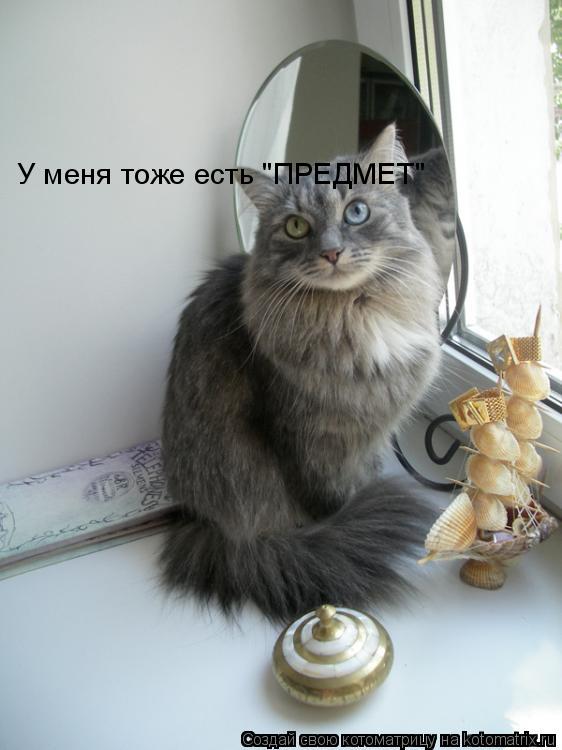 У меня тоже есть "ПРЕДМЕТ"... Котоматрица: У меня тоже есть "ПРЕДМЕТ"