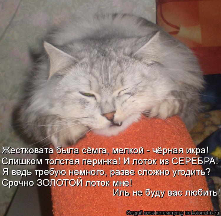 Жестковата была сёмга, мелкой - чёрная икра! Слишком толстая перинка! И лоток из СЕРЕБРА! Я ведь треб... Котоматрица: Жестковата была сёмга, мелкой - чёрная икра! Слишком толстая перинка! И лоток из СЕРЕБРА! Я ведь требую немного, разве сложно угодить? Срочно