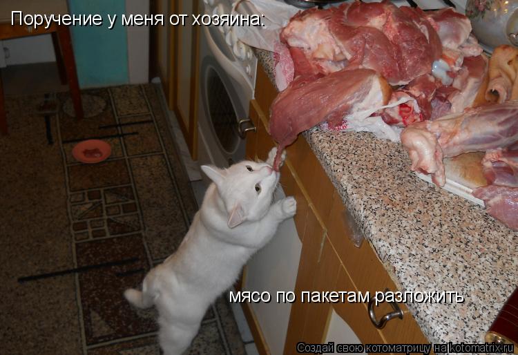Поручение у меня от хозяина: мясо по пакетам разложить... Котоматрица: Поручение у меня от хозяина: мясо по пакетам разложить