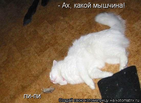 - Ах, какой мышчина! пи-пи... Котоматрица: - Ах, какой мышчина! пи-пи