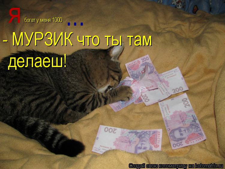я богат у меня 1000 ... - МУРЗИК что ты там делаеш!... Котоматрица: я богат у меня 1000 ... - МУРЗИК что ты там делаеш!